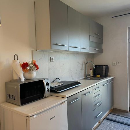 Apartments Zupan Šenčur エクステリア 写真