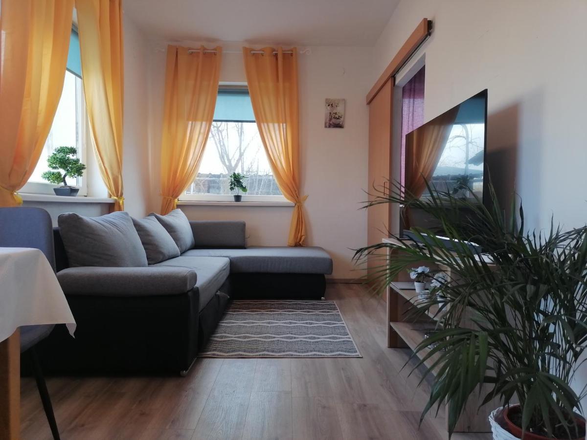 Apartments Zupan Šenčur エクステリア 写真