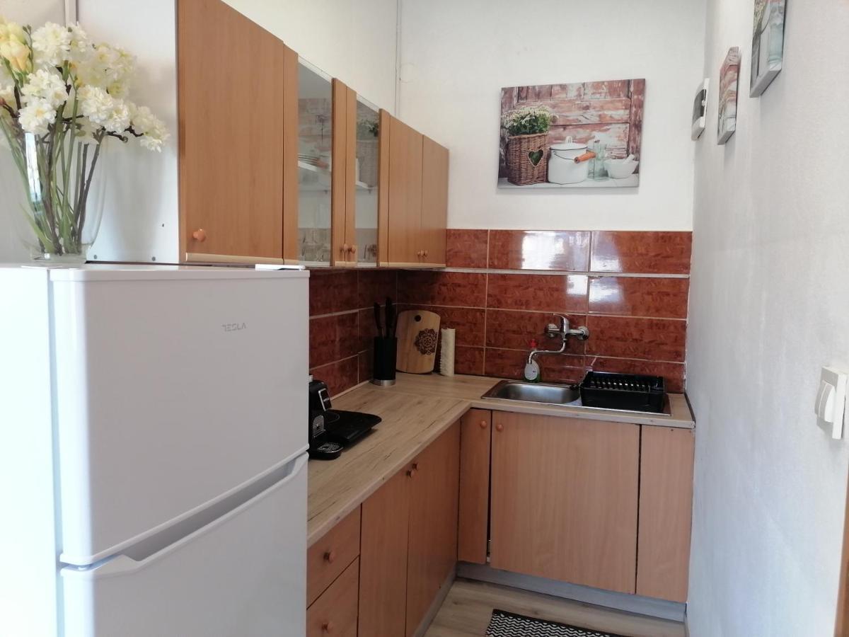 Apartments Zupan Šenčur エクステリア 写真