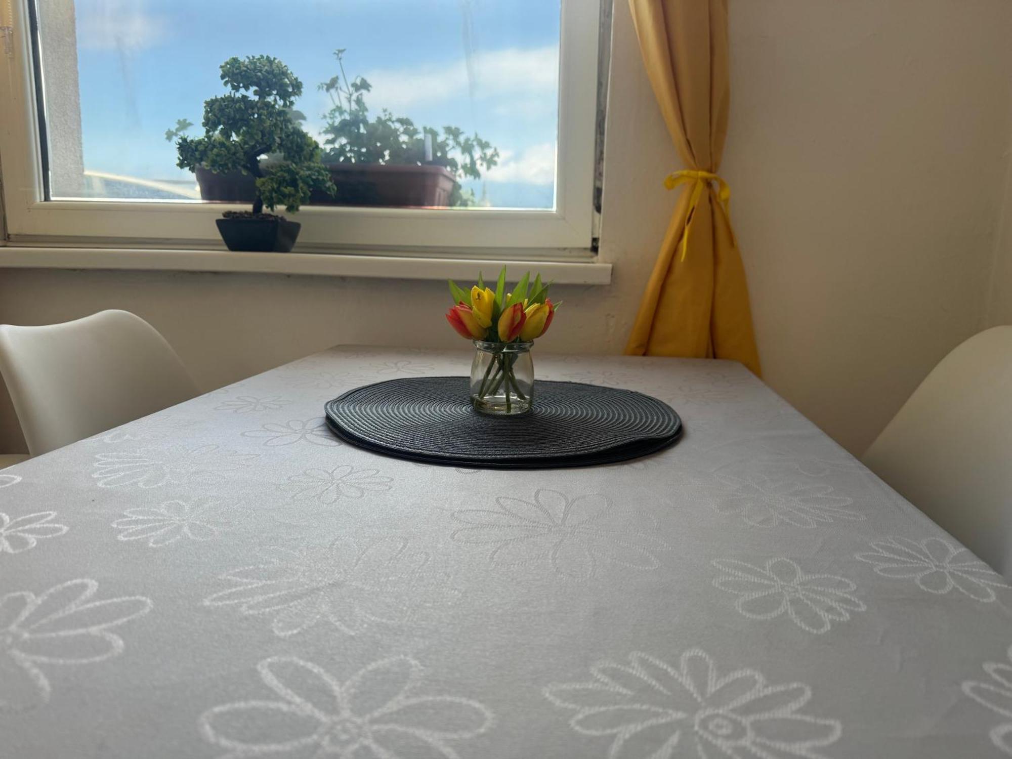 Apartments Zupan Šenčur エクステリア 写真