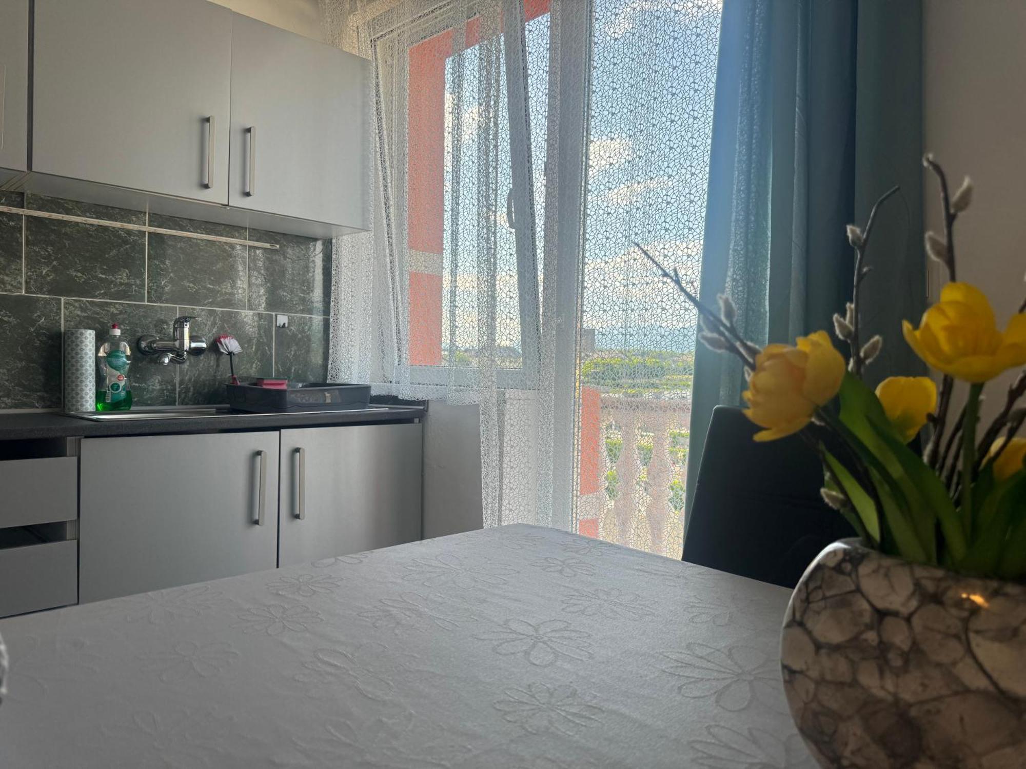 Apartments Zupan Šenčur エクステリア 写真