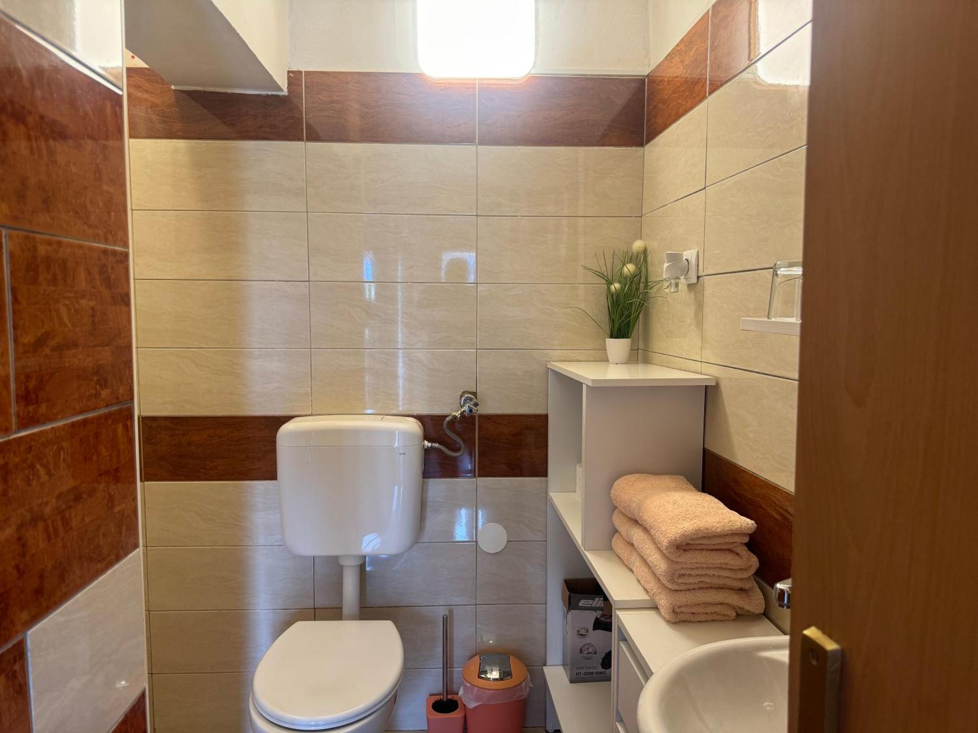 Apartments Zupan Šenčur エクステリア 写真