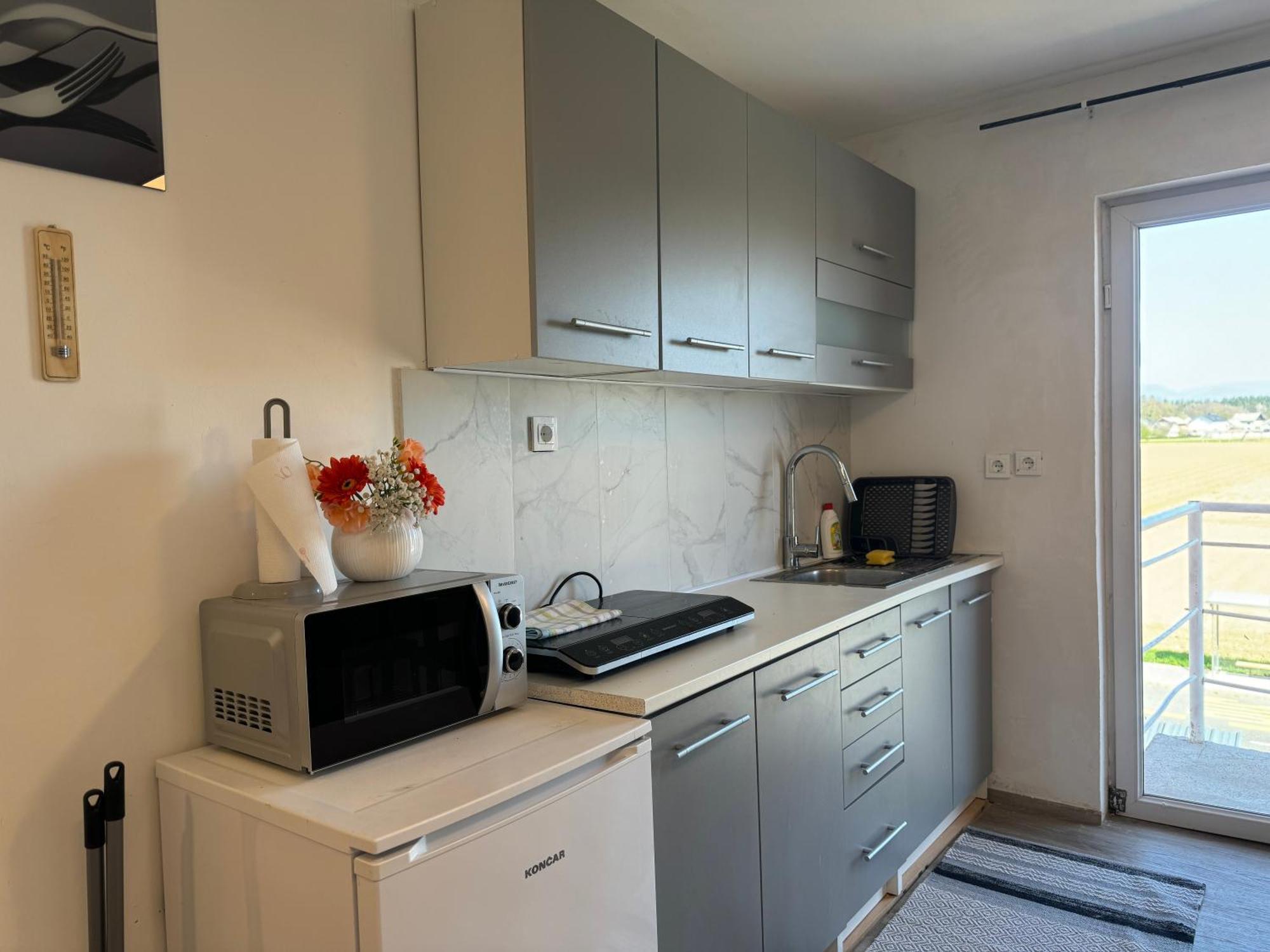 Apartments Zupan Šenčur エクステリア 写真